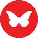 Image of a butterfly on a red circle, indication freedom of movement for works, a recently voted plank in Seattle DSA's platform.