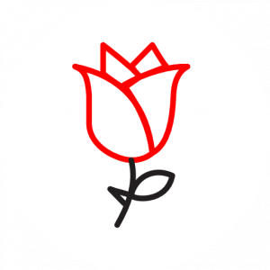 Alt Text: Minimalist icon in red and black lines of a rose.